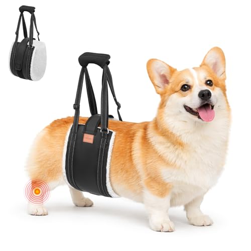 Adjustable Dog Sling for Large Dogs Hind Leg Support ACL Recovery (Medium)