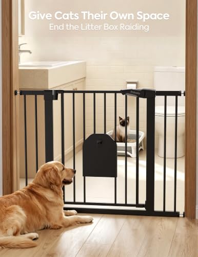 Auto Close Dog Gate with Cat Door (Black / 29-43" Wide, 30" Tall | Standard)