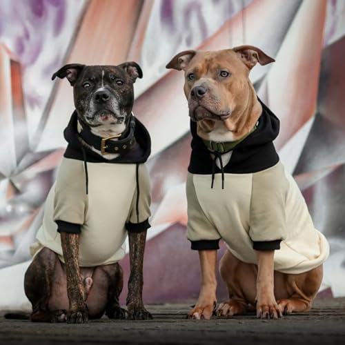 Dog Hoodie Buttery (Olive Cream / 5XL)