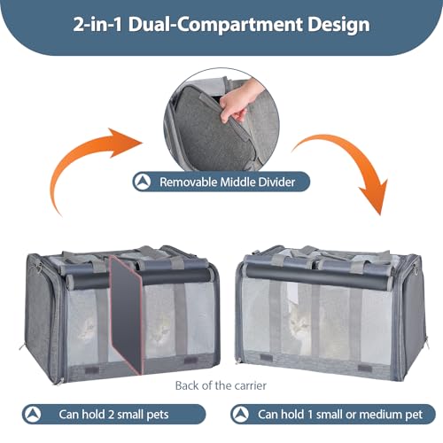 Cat Carrier for 2 Cats