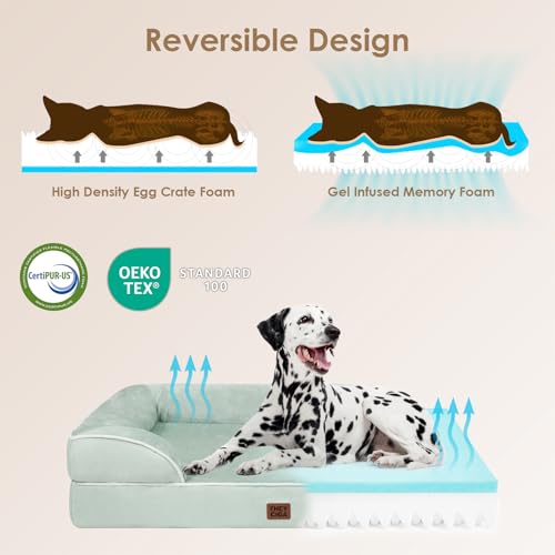 Orthopedic Small Dog Bed (Sage Green / 24.0"l X 18.0"w X 6.0"th)