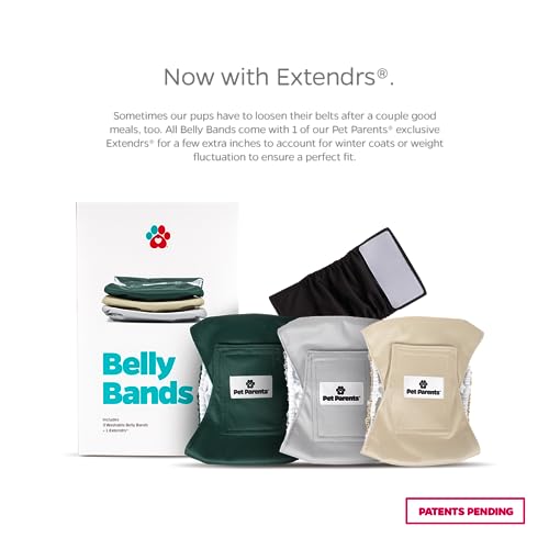 Washable Belly Bands for Male Dogs (Large (20-25") / Spruce)