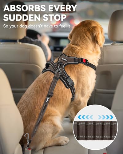 3-in-1 Bungee Dog Seat Belt for Car, Medium and Large Dogs, Brown (Brown / (21.6-31.5) inch)
