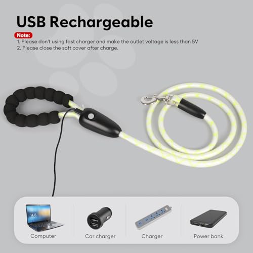 LED Light Up Dog Leash (Multi-Color / 5FT)