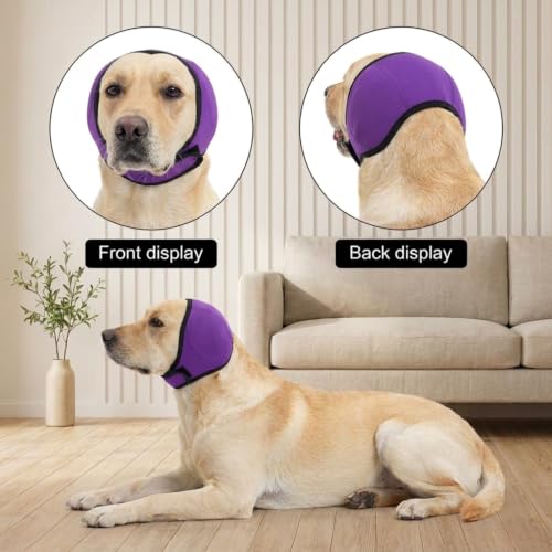 No Flap Ear Wraps for Dogs (Purple / M)