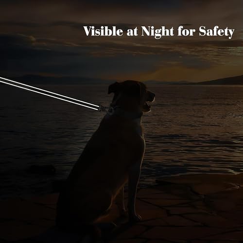 5FT Heavy Duty Dog Leash with Soft Padded Double Handle (5 FT x 1 in Wide / Grey)