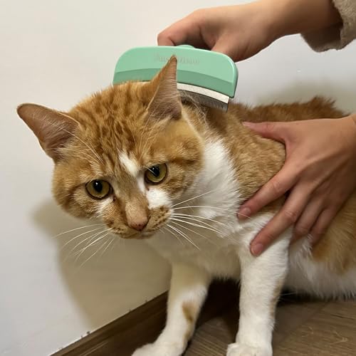 Pet Deshedding Tool with Curve Blade (Large / Green)