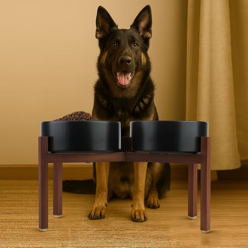 Raised Ceramic Dog Bowls Set with Non (60.87 Oz / Black)