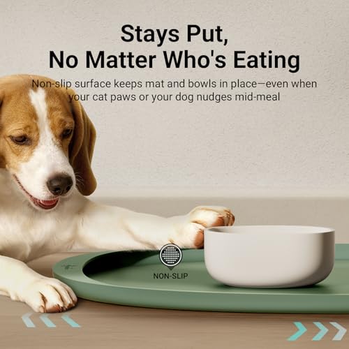 Dog Food Mat Silicone Waterproof Feeding Mat (24"L x 17"W / Sage)