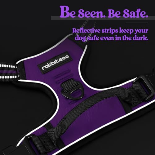 Dog Harness No Pull for Large Dogs with 2 Leash Clips (X-Large / Purple)
