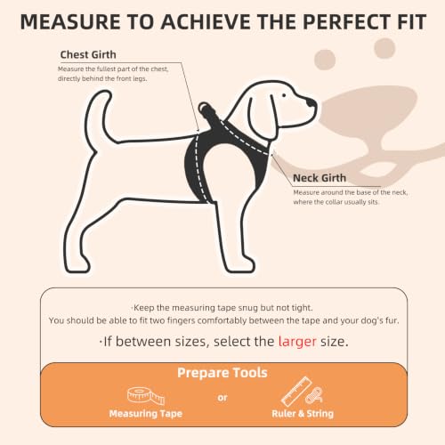 Dog Harness Collar and Leash Set No Pull for Small Medium Sized (Orange / XL (CHEST 20"-22"))
