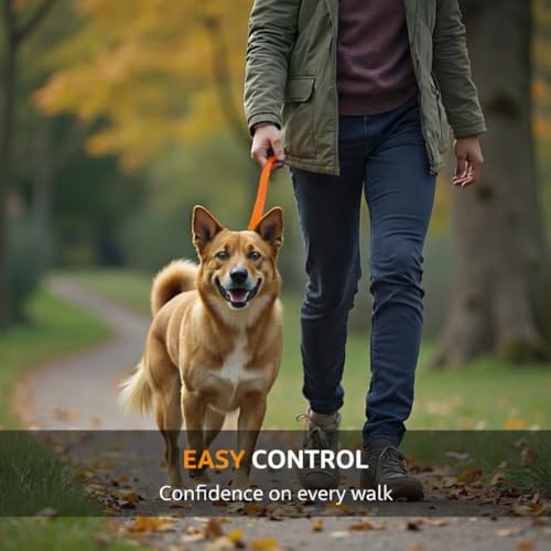SparkDog Daily Dog Training Leash (Daily-Orange / L 4' * W 3/4")
