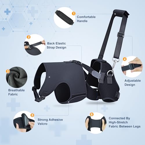 Dog Hip Dysplasia Brace with Back Lift Strap (M)