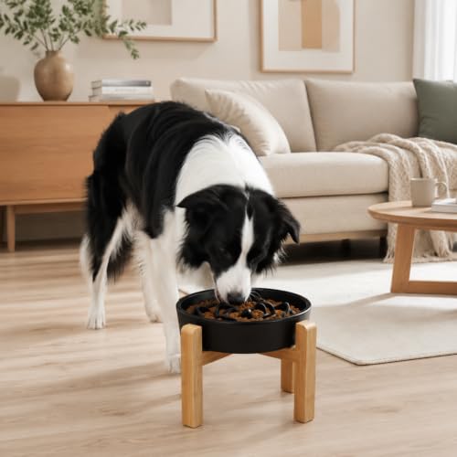 8.66 in Dog Bowl Ceramic Slow Feeder for Medium Large Dogs (Black / 8.66in)
