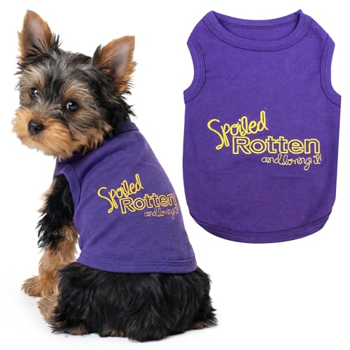 Spoiled Rotten Dog T (Extra Small / Spoiled Rotten)