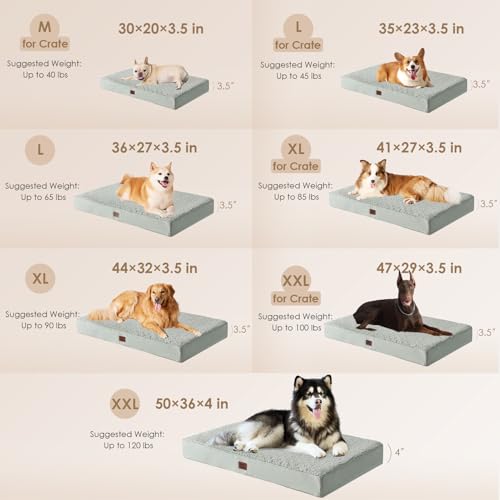 Orthopedic Dog Bed Extra Large with Removable Washable Cover (41*27*3.5 inches / Greyish Green)