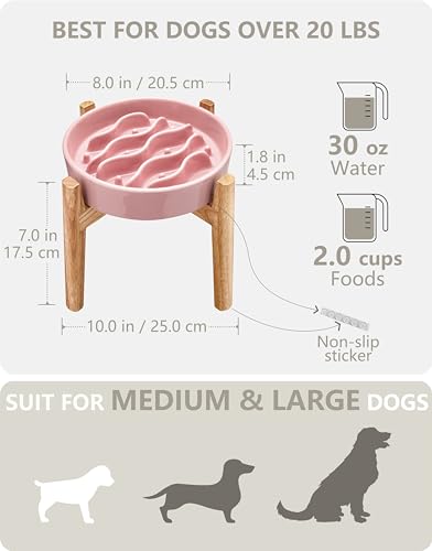 Ceramic Slow Feeder Dog Bowls Elevated (Salmon Pink + Stand / 8 Inches)