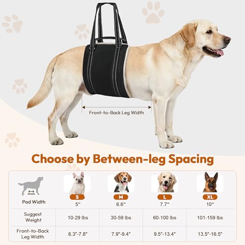 Adjustable Dog Lift Harness for Large & Medium Sized Dogs (black / X-Large)