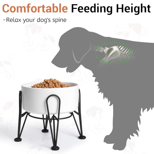 Elevated Dog Bowls (White / 7.6 Cups | 2 Pack | For Large Dogs)