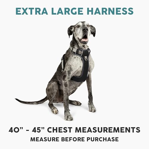 Embark No Pull Dog Harness (XL / Black)