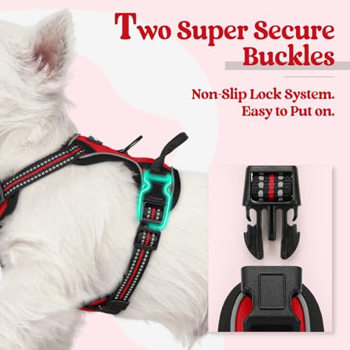 Dog Harness No Pull for Small Dogs with 2 Leash Clips (X-Small / Red)