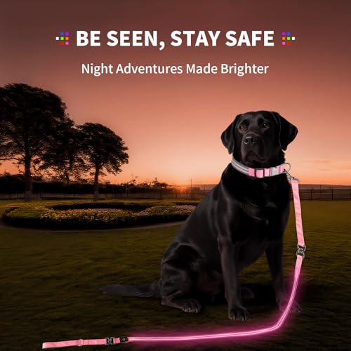 LED Dog Leash (Pink / 6 feet)