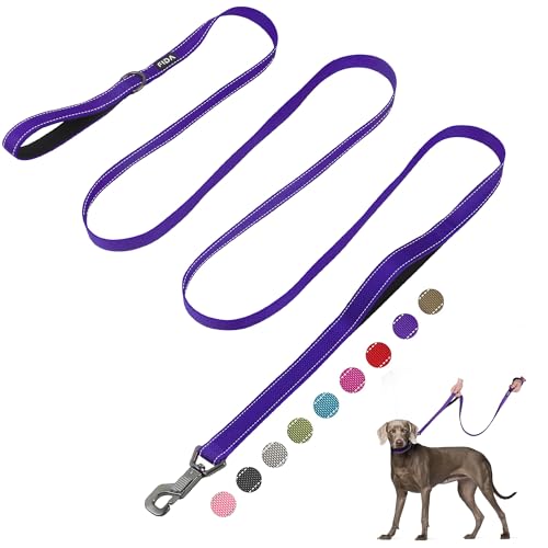 10 FT Heavy Duty Dog Leash (10 Feet (Pack of 1) / Purple)