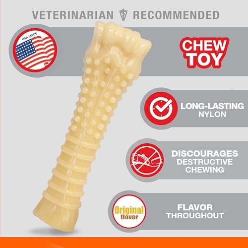 Power Chew Textured Bone Dog Chew Toy (X-Large)