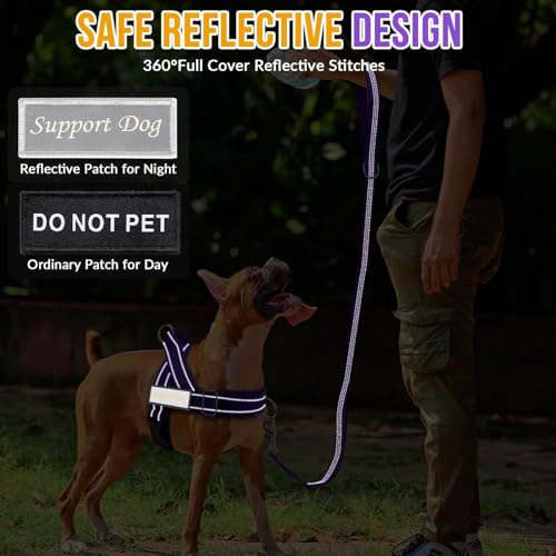 No Pull Dog Harness and Leash Set (Purple / Large)