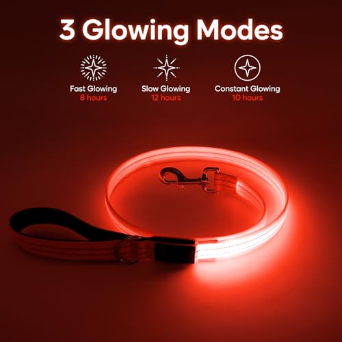 LED Dog Leash (Orange)