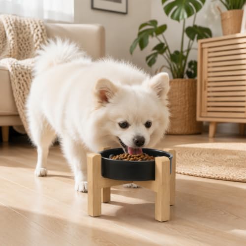 Ceramic Slow Feeder (Black / 8.26in)