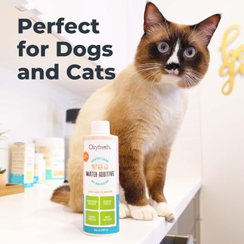 Premium Pet Dental Care Solution Pet Water Additive (16 Fl Oz (Pack of 1))