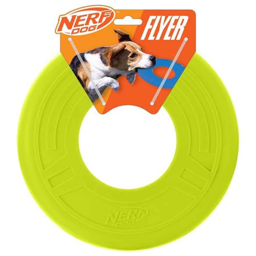Atomic Flyer Outdoor Dog Toy (Green / 10 Inch)