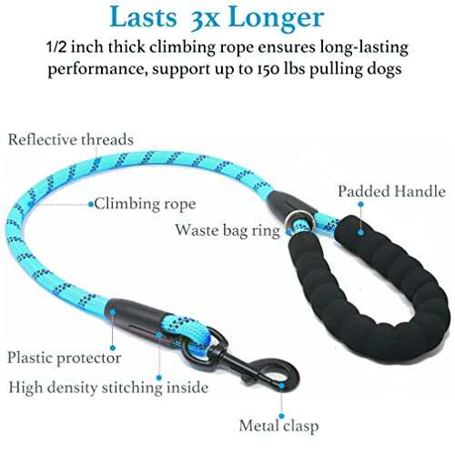 Double Dog Leash (Blue / Large)