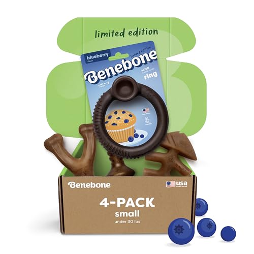 Blueberry Small 4 (Small / Limited Edition 4 Pack)