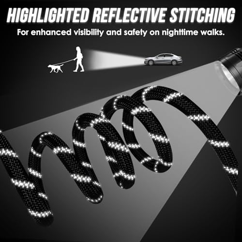 Hands Free Dog Leash (Black)