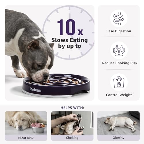 4.5 Cups Ceramic Slow Feeder Dog Bowls Giant Dogs with Grip Handles (purple / XL (4.5 cups))