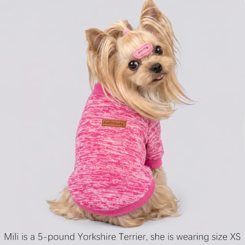 3 Pack Dog Sweaters for Small Dogs Girl Boy Winter Fleece Clothes Warm Soft Dog Sweatshirt Outfit for Dogs Cats Pet Apparel (Wine red+purple+Pink / XS (Back: 9.8", Chest: 13.7", 3.5-5.5 lbs))