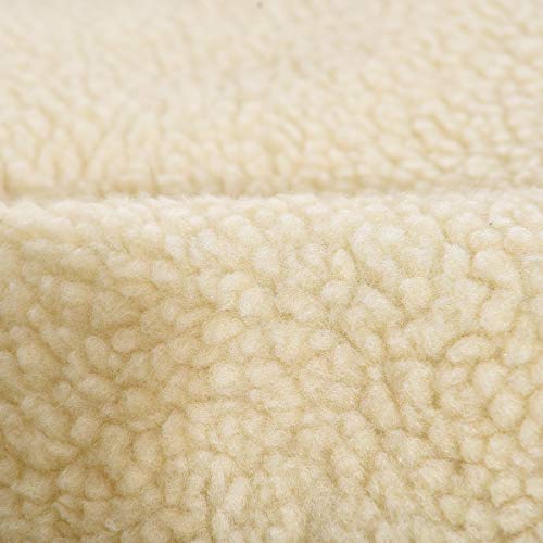 AmazonBasics Pet Cave Bed for Dogs and Cats (Blue / Large (Pack of 1))