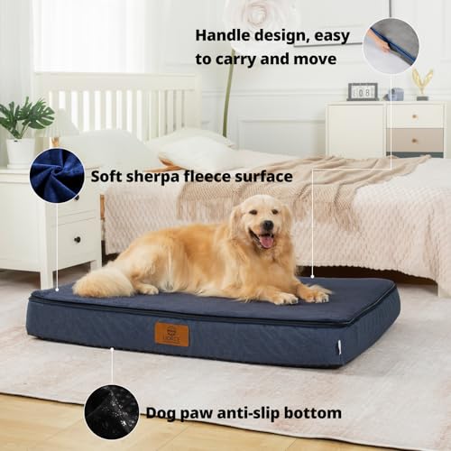 Orthopedic Memory Foam XXL Dog Bed (48.0"L x 30.0"W x 6.0"Th / Navy Blue)