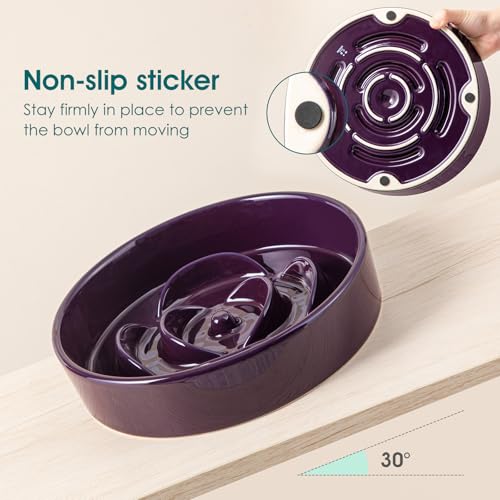 Slow Feeder Dog Bowl (L - 3 Cups / Dark Purple)