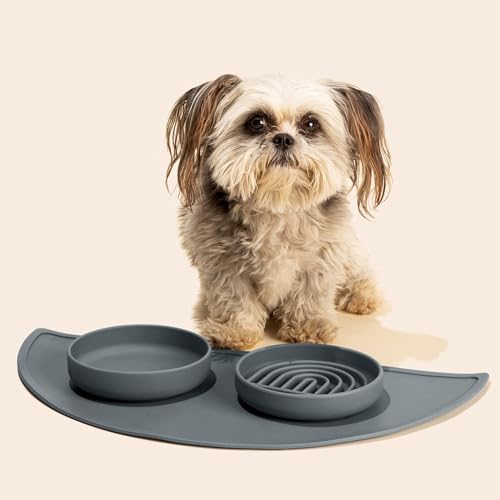 Slow Feeder Dog Bowl (Charcoal - Rainbow Design / Small (6” Across x 1.25” Tall))