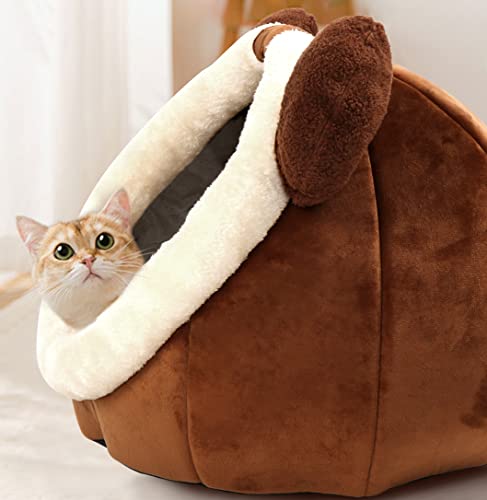 Cat Beds for Indoor Cats (Bear Brown / L)