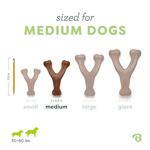 Wishbone Dog Chew Toy for Aggressive Chewers (Medium)