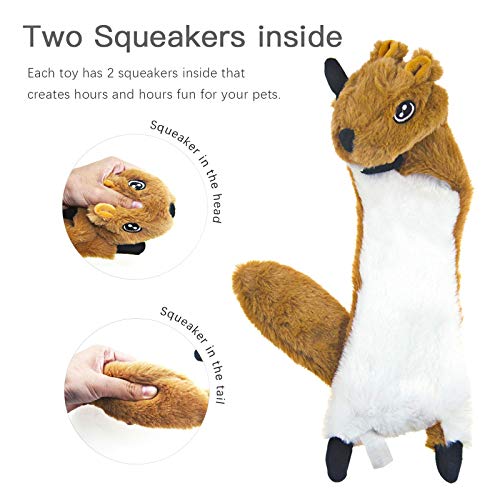 Dog Squeaky Toys 5 Pack (Large / 5 Pack)