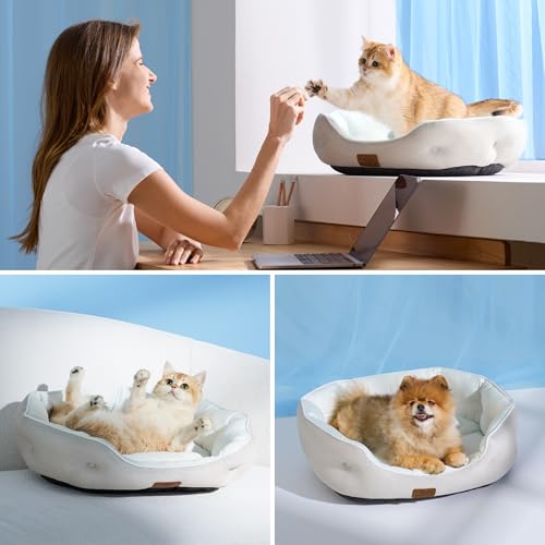 AeroFrost™ Cooling Small Dog Bed (20"L x 19"W x 6"Th / Arctic Cooling Blue)