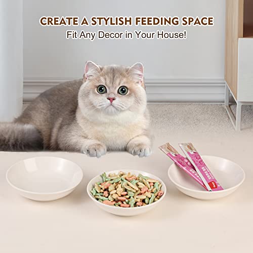 Ceramic Cat Dishes for Food (White)