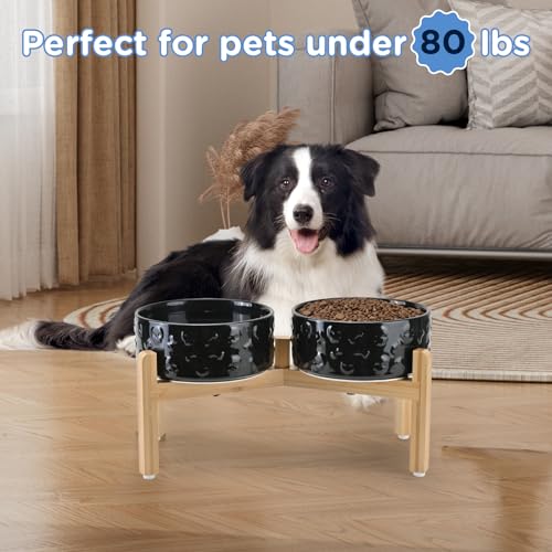 Elevated Dog Bowls Ceramic (7.3 in - 5.3 cups / Black- Skull)