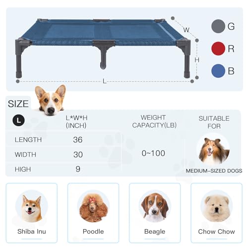 Elevated Dog Bed for Medium Dogs (L (36"L x 30"W x 7"H) / Blue)
