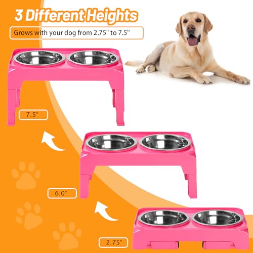 Elevated Dog Bowls with 2 Stainless Steel Dog Food & Water Raised Bowls with No Spill Edge Non (S (6" for Small Dogs) / Pink)